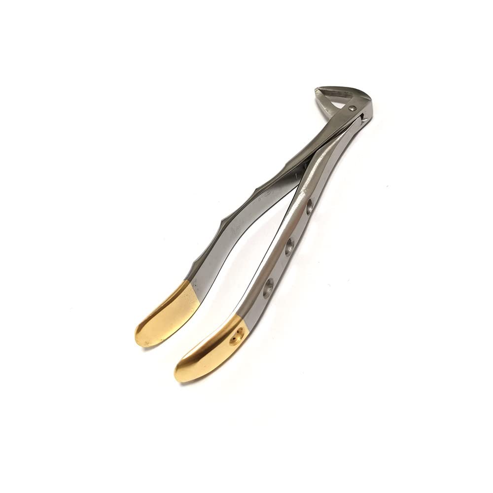 鉗子　【歯科医院】 Amazon.co.jp: 歯科摘出鉗子、湾曲歯摘出鉗子上顎歯、下顎歯